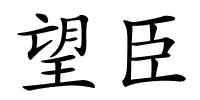 望臣的解释