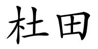 杜田的解释