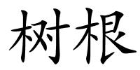 树根的解释