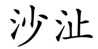 沙沚的解释