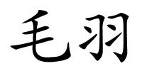 毛羽的解释