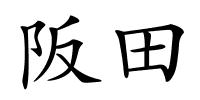 阪田的解释