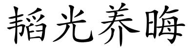 韬光养晦的解释