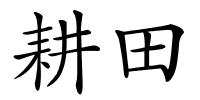 耕田的解释