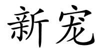 新宠的解释