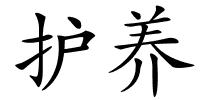 护养的解释