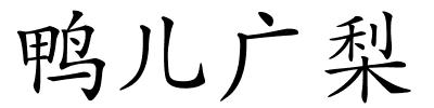 鸭儿广梨的解释