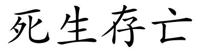 死生存亡的解释