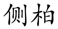 侧柏的解释