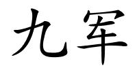 九军的解释