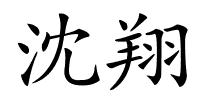 沈翔的解释