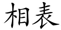 相表的解释