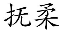 抚柔的解释