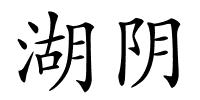 湖阴的解释