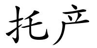 托产的解释