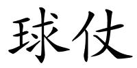 球仗的解释