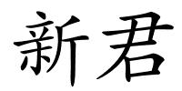 新君的解释