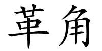 革角的解释