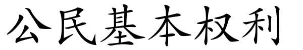 公民基本权利的解释