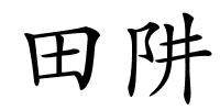 田阱的解释