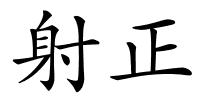 射正的解释