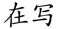 在写的解释