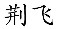 荆飞的解释