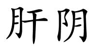 肝阴的解释