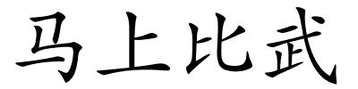 马上比武的解释