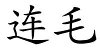 连毛的解释