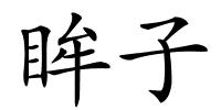 眸子的解释