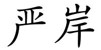 严岸的解释