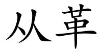 从革的解释