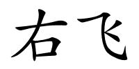 右飞的解释