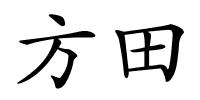 方田的解释