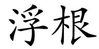 浮根的解释