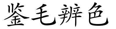 鉴毛辨色的解释