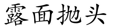 露面抛头的解释