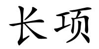 长项的解释