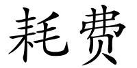 耗费的解释