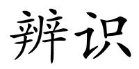 辨识的解释