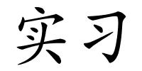 实习的解释