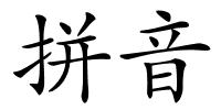 拼音的解释