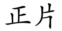 正片的解释