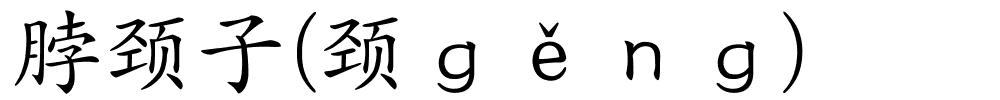 脖颈子(颈ｇěｎｇ)的解释