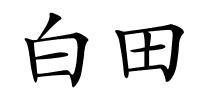 白田的解释