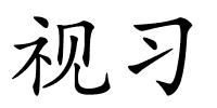 视习的解释