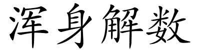 浑身解数的解释