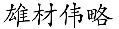 雄材伟略的解释