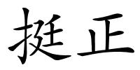 挺正的解释